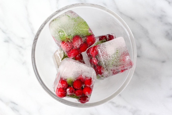 Cranberry Ice Cubes Recipe - Frugal Mom Eh!